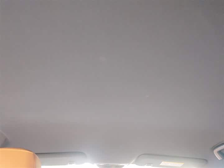 Hozon X 2024 2024款 500 尊享版