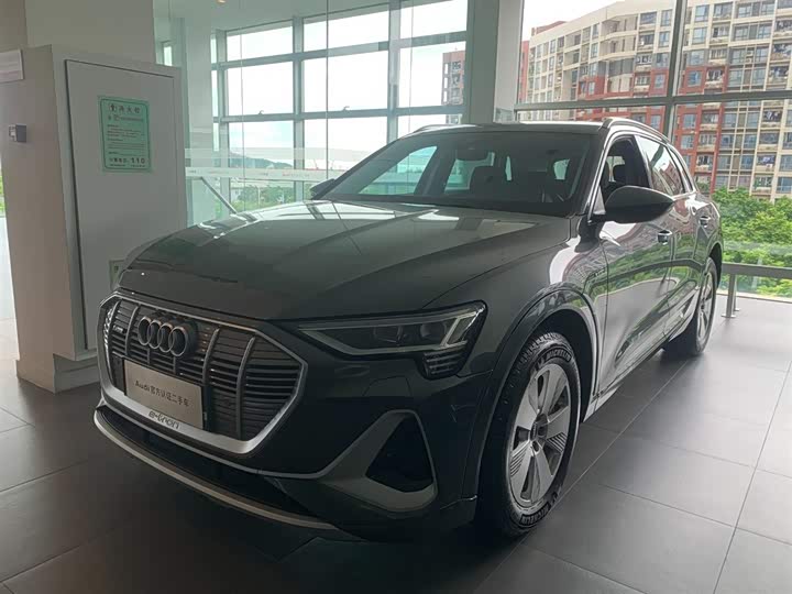 Audi e-tron 2021 2021款 50 quattro 豪华型