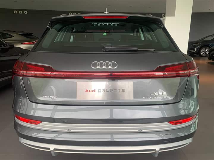 Audi e-tron 2021 2021款 50 quattro 豪华型