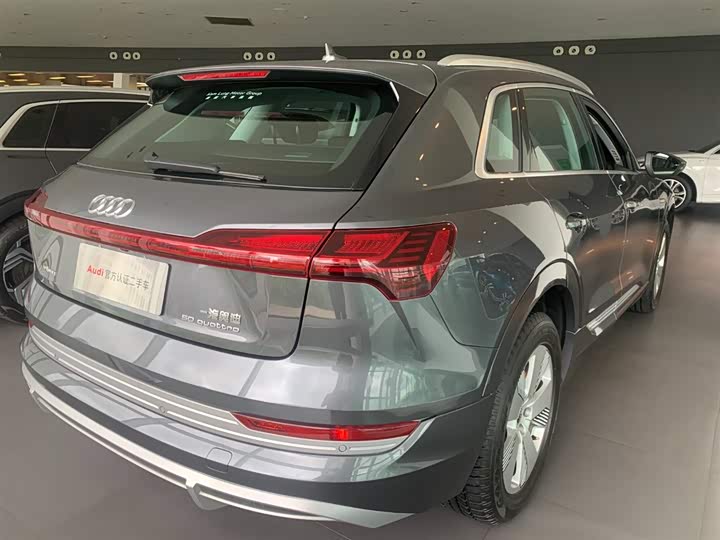 Audi e-tron 2021 2021款 50 quattro 豪华型