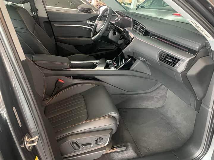 Audi e-tron 2021 2021款 50 quattro 豪华型