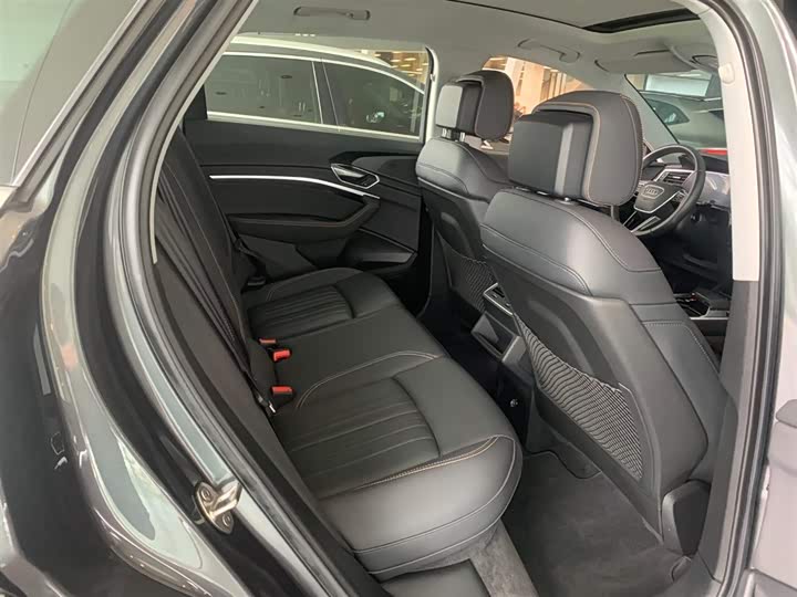 Audi e-tron 2021 2021款 50 quattro 豪华型