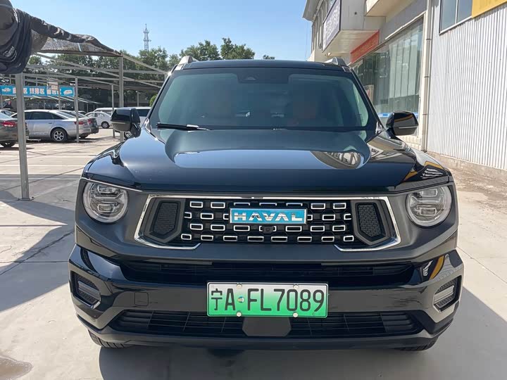 Haval H-Dog Hybrid 2024 2024款 Hi4 102km 潮电版Plus