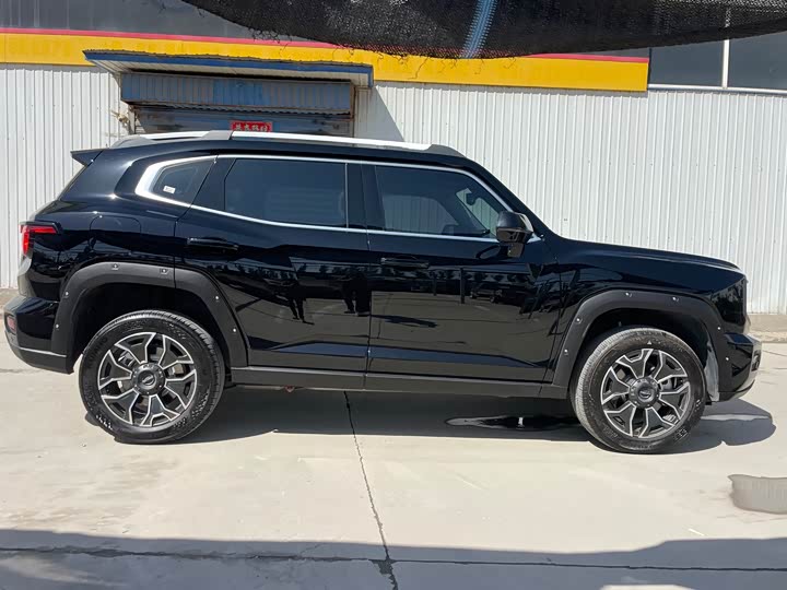 Haval H-Dog Hybrid 2024 2024款 Hi4 102km 潮电版Plus