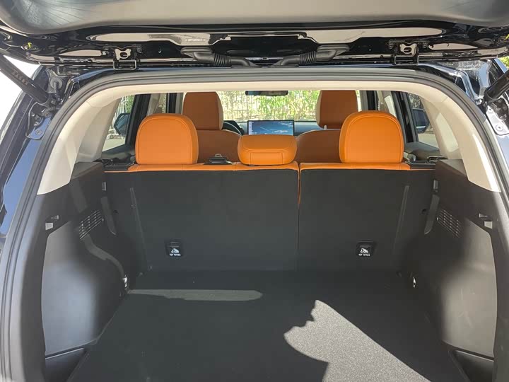 Haval H-Dog Hybrid 2024 2024款 Hi4 102km 潮电版Plus