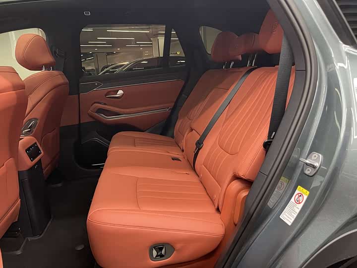 BYD Tang L 2025 2025款 DM 175KM无人机玩家版