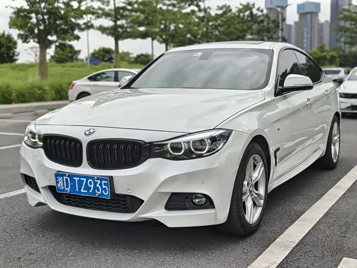 BMW 3 Series GT 2020 2020款 320i M运动套装