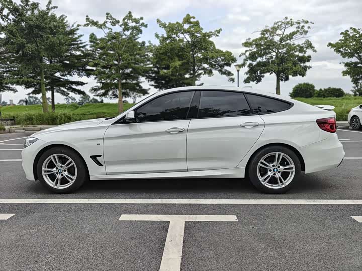 BMW 3 Series GT 2020 2020款 320i M运动套装