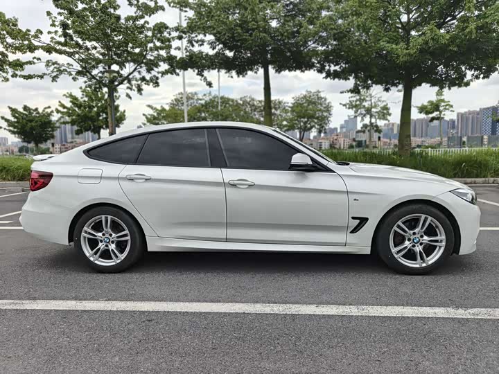 BMW 3 Series GT 2020 2020款 320i M运动套装