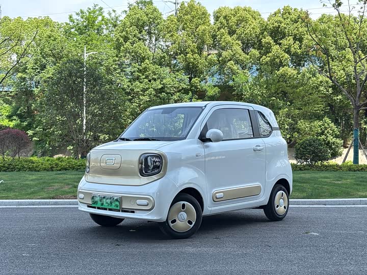 Bestune Pony 2026 2026款 222km 炫彩马