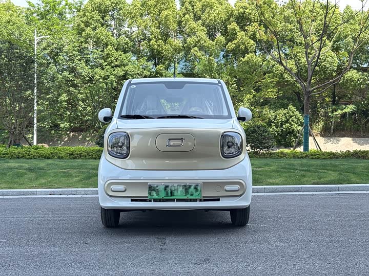 Bestune Pony 2026 2026款 222km 炫彩马