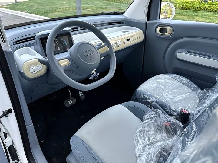 Bestune Pony 2026 2026款 222km 炫彩马