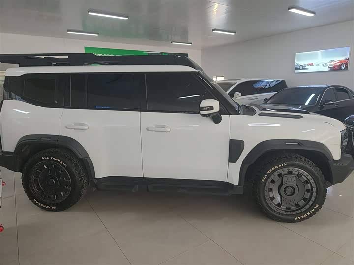 Jetour T2 2024 2024款 2.0T 四驱银龙之翼