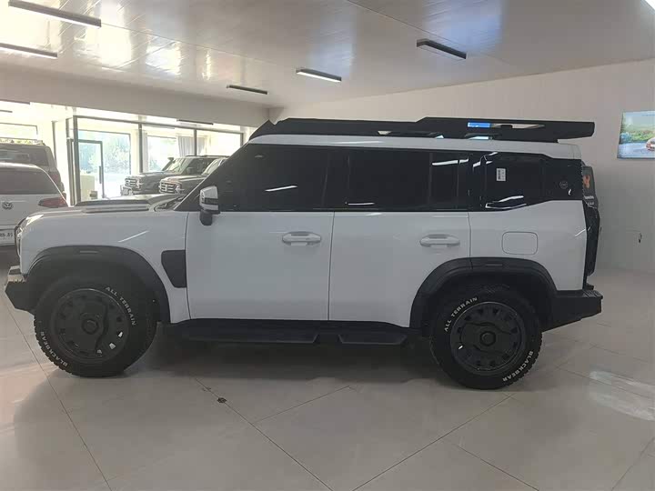 Jetour T2 2024 2024款 2.0T 四驱银龙之翼