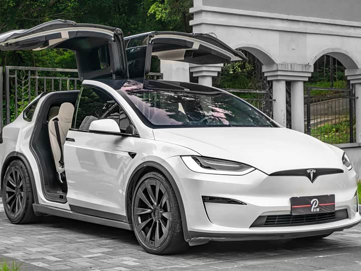 Tesla Model X 2023 2023款 双电机全轮驱动版