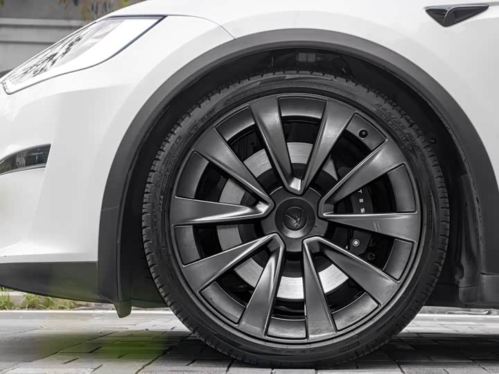 Tesla Model X 2023 2023款 双电机全轮驱动版