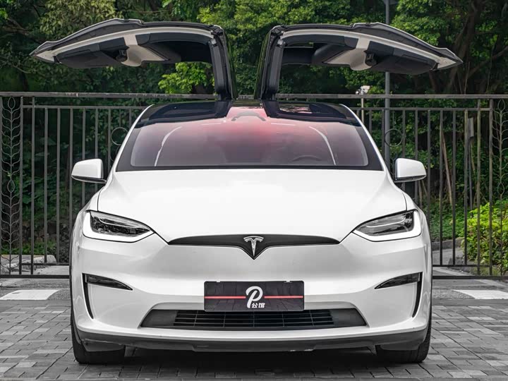 Tesla Model X 2023 2023款 双电机全轮驱动版