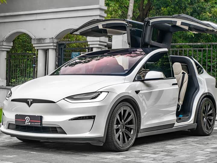 Tesla Model X 2023 2023款 双电机全轮驱动版