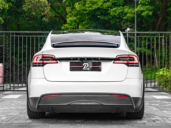 Tesla Model X 2023 2023款 双电机全轮驱动版