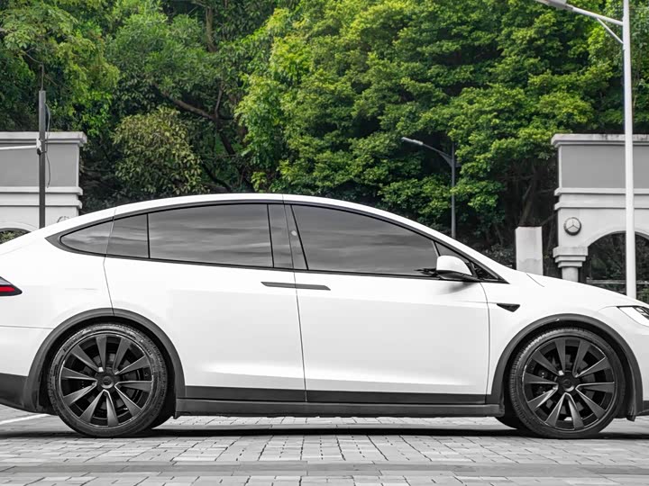 Tesla Model X 2023 2023款 双电机全轮驱动版