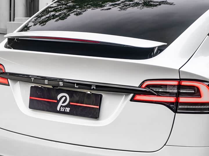 Tesla Model X 2023 2023款 双电机全轮驱动版