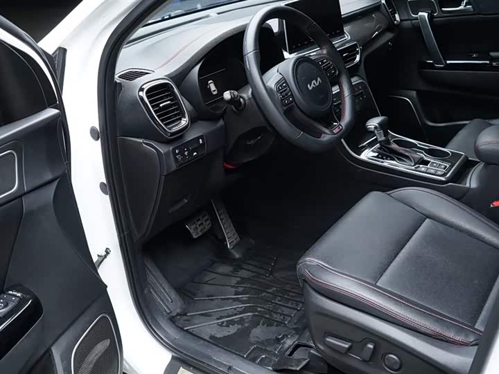 Kia KX5 2019 2019款 1.6T 自动两驱豪华版