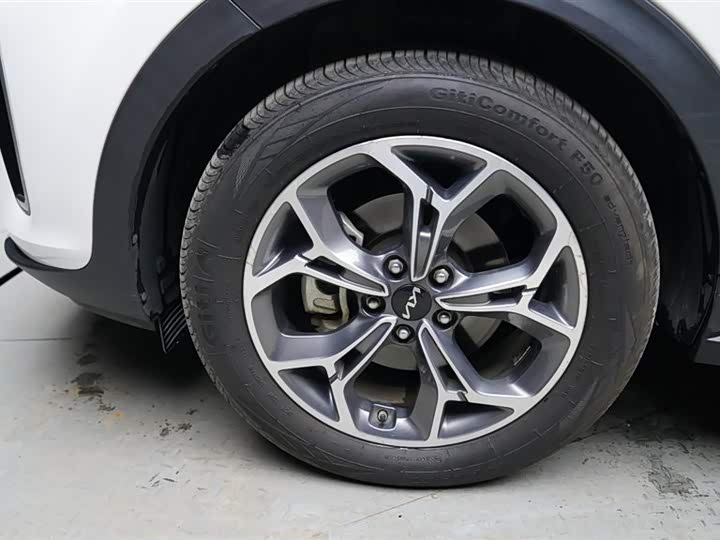 Kia KX5 2019 2019款 1.6T 自动两驱豪华版