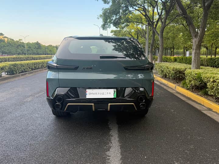 BMW XM 2023 2023款 基本型