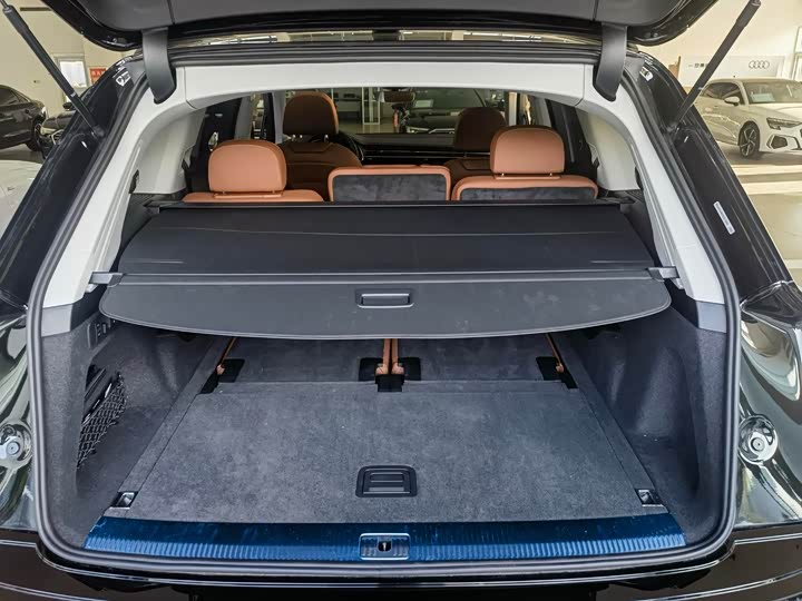 Audi Q7 2025 2025款 55 TFSI quattro S line黑武士型