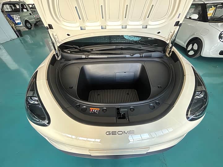 Geely Galaxy Geome 2025 2025款 310km 青春版