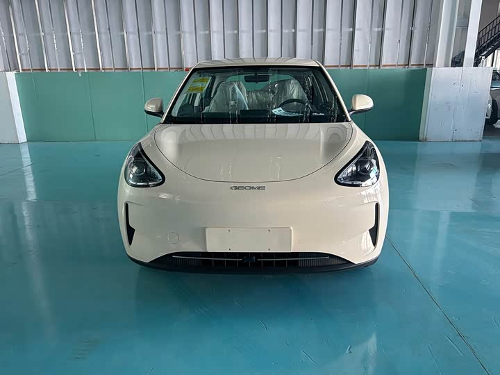 Geely Galaxy Geome 2025 2025款 310km 青春版