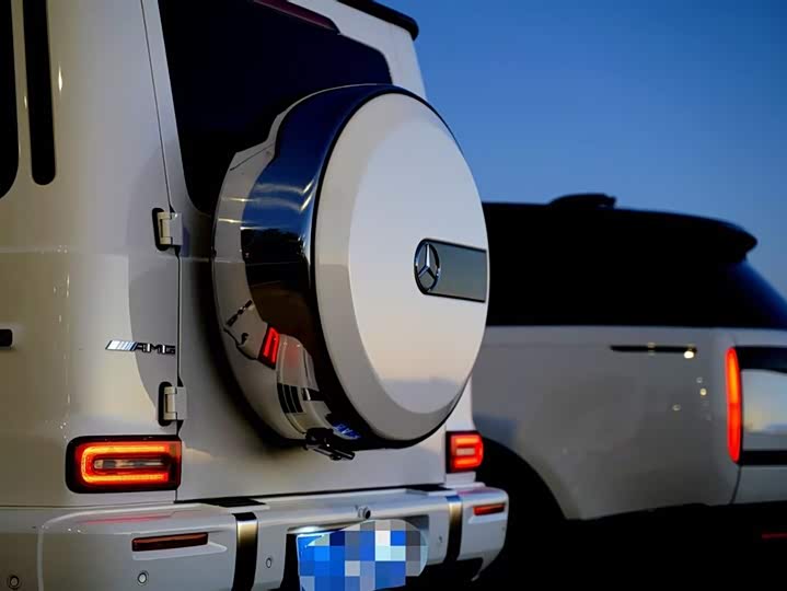 Mercedes-Benz G-Class 2025 2025款 G 500