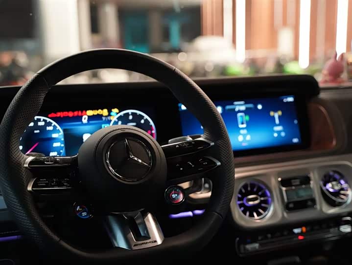 Mercedes-Benz G-Class 2025 2025款 G 500
