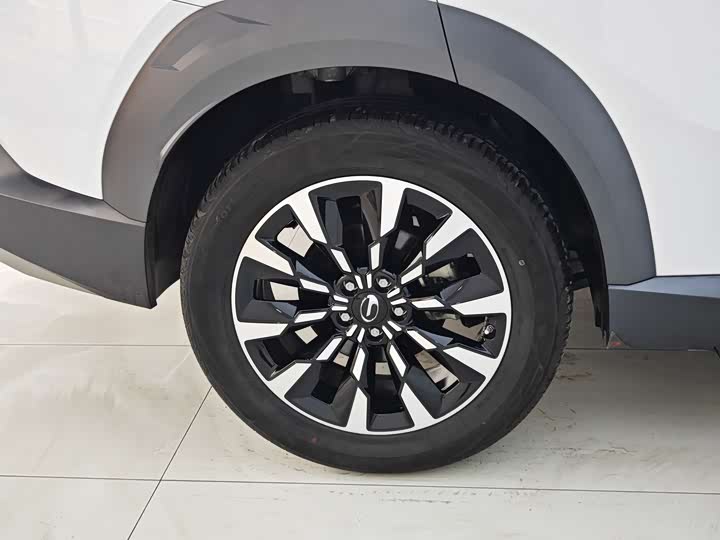 GAC Trumpchi Emkoo 2022 2022款 2.0ATK 双子星Pro版