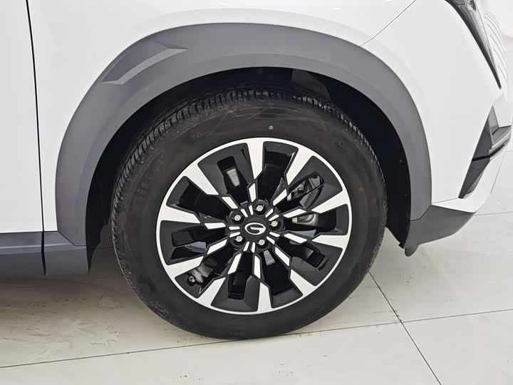 GAC Trumpchi Emkoo 2022 2022款 2.0ATK 双子星Pro版