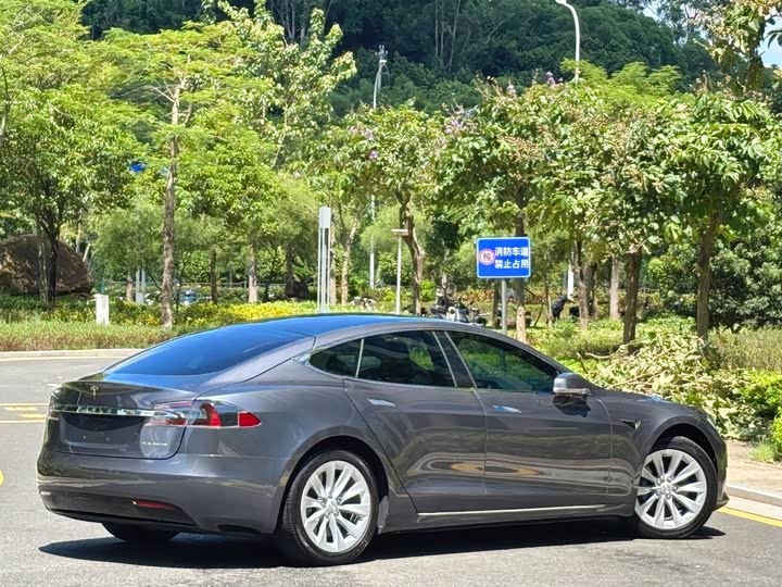 Tesla Model S 2020 2020款 长续航升级版