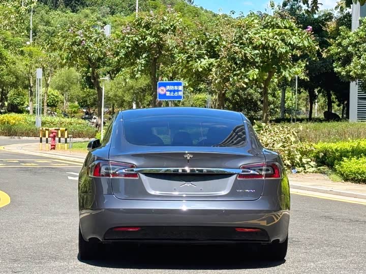 Tesla Model S 2020 2020款 长续航升级版