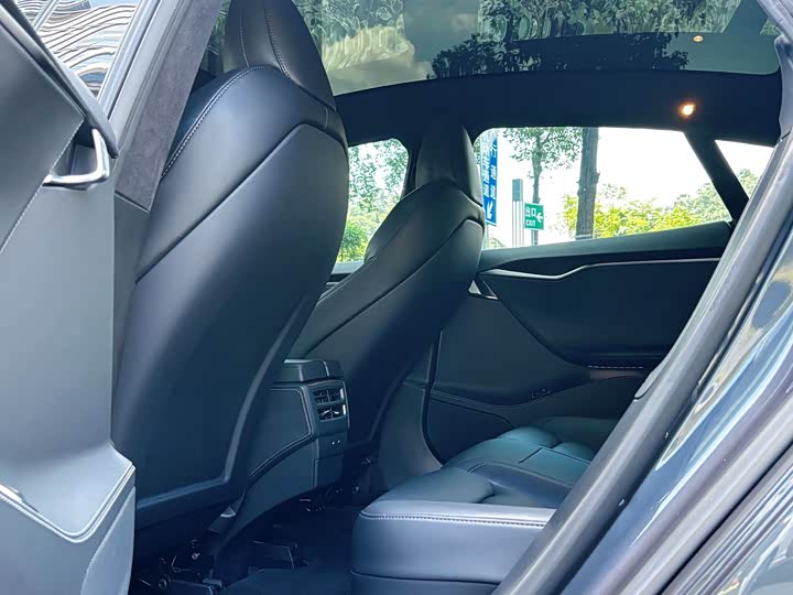 Tesla Model S 2020 2020款 长续航升级版