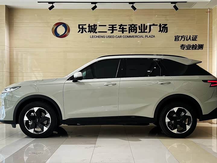 Haval Ruge Max 2025 2025款 Hi4 110 Pro