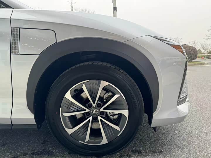 Lexus RZ 2023 2023款 450e 四驱纵享版