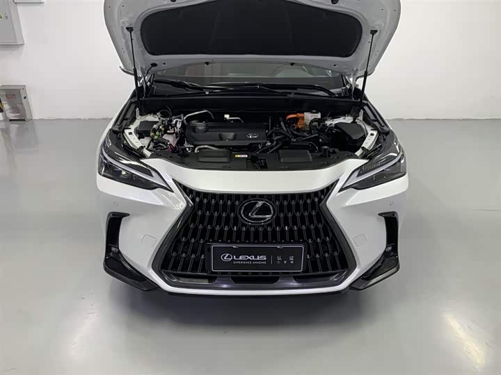 Lexus NX Hybrid 2022 2022款 400h+ 畅悦版