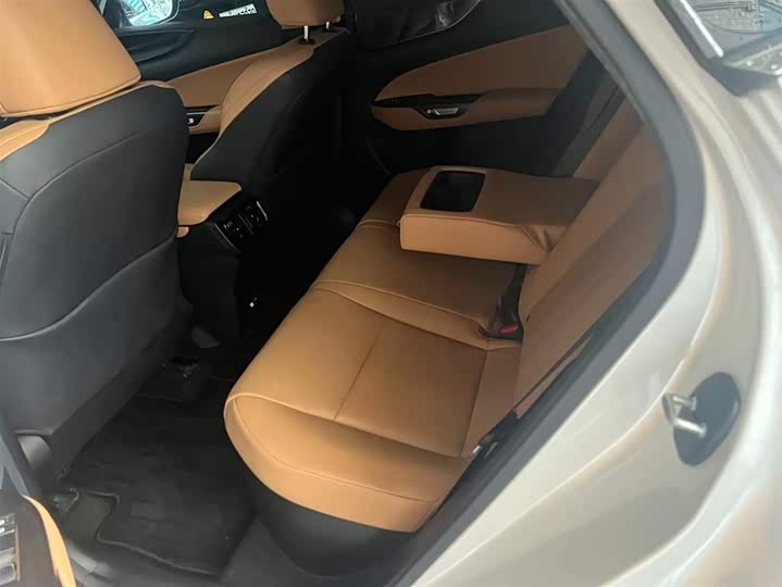 Lexus NX Hybrid 2022 2022款 400h+ 畅悦版