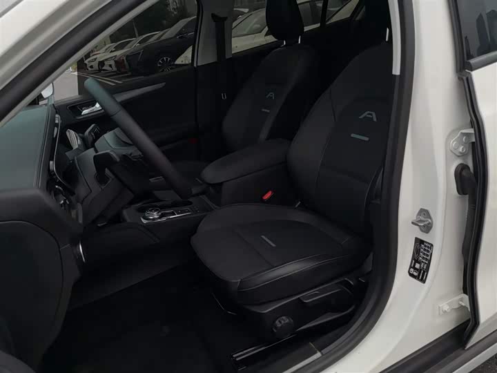 Ford Focus Active 2021 2021款 EcoBoost 180 自动劲潮型