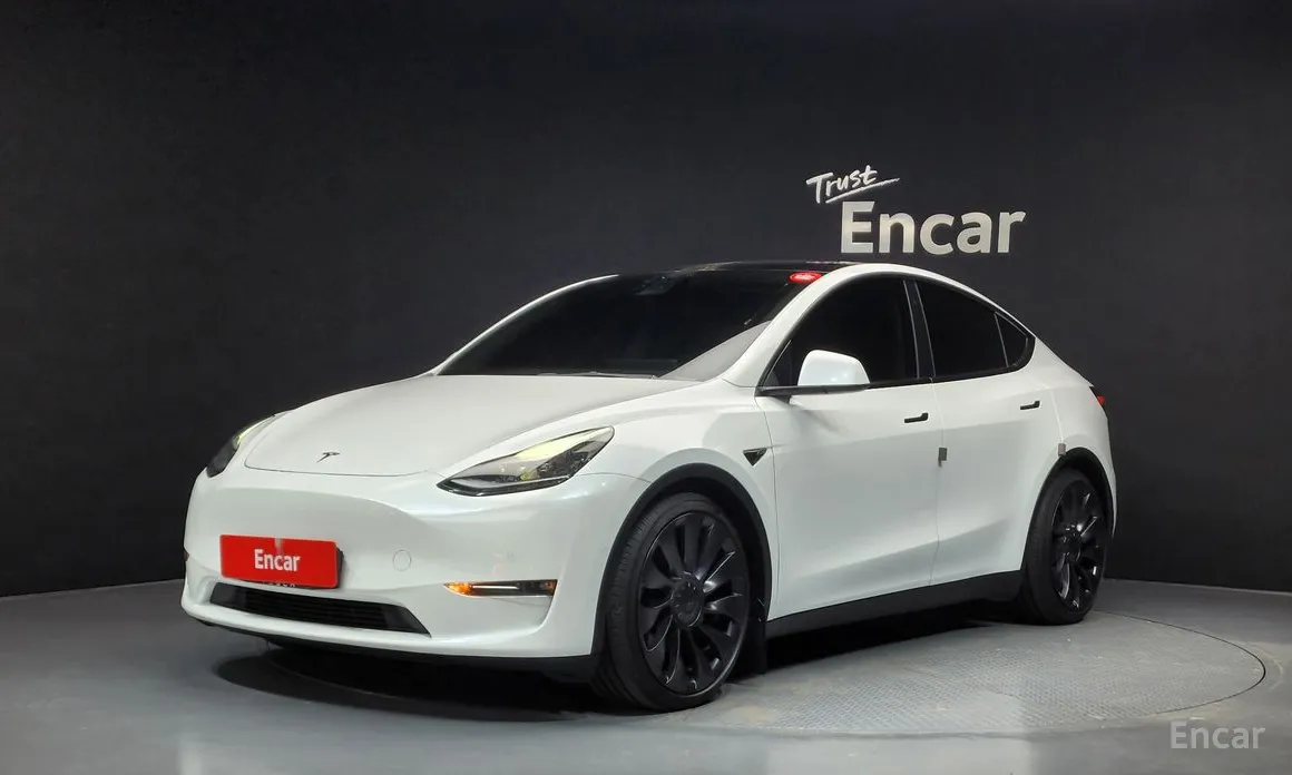 Tesla Model Y 2020 Performance