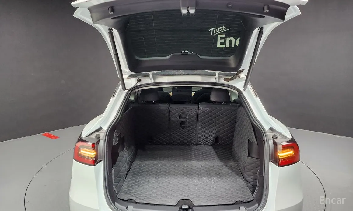 Tesla Model Y 2020 Performance