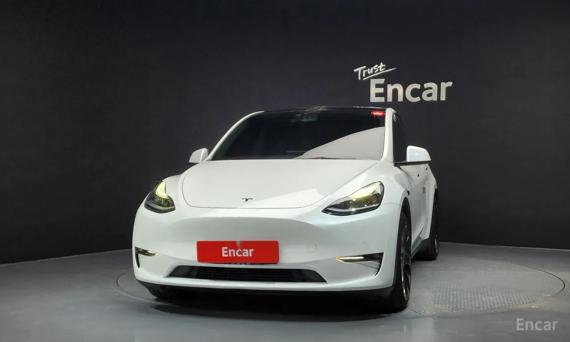 Tesla Model Y 2020 Performance