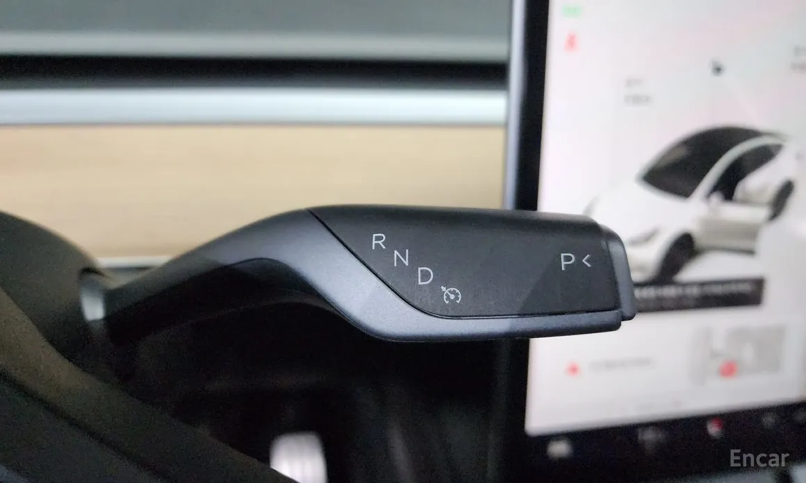 Tesla Model Y 2020 Performance