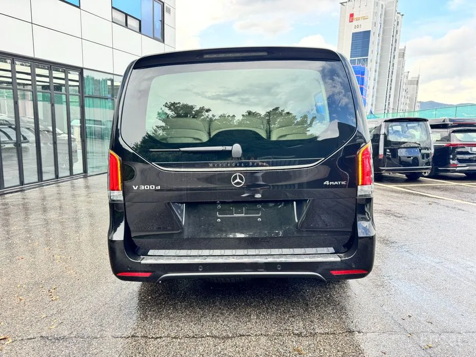 Mercedes-Benz V-Class 1996 V300 CDI