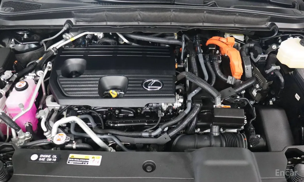 Lexus RX 2023 Luxury