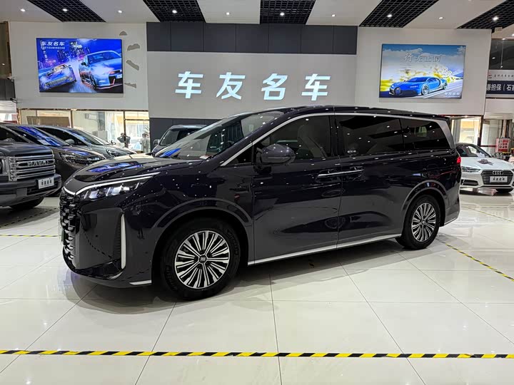 2025 BYD Xia